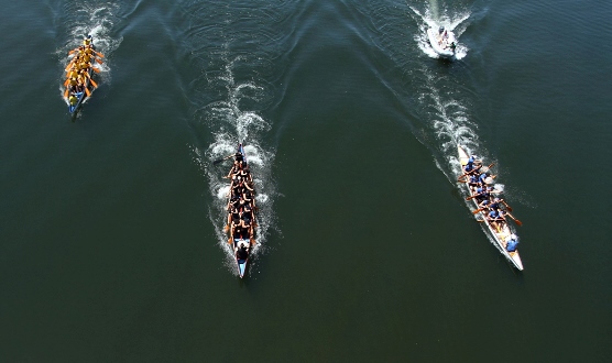 Thumbnail da galeria 2010