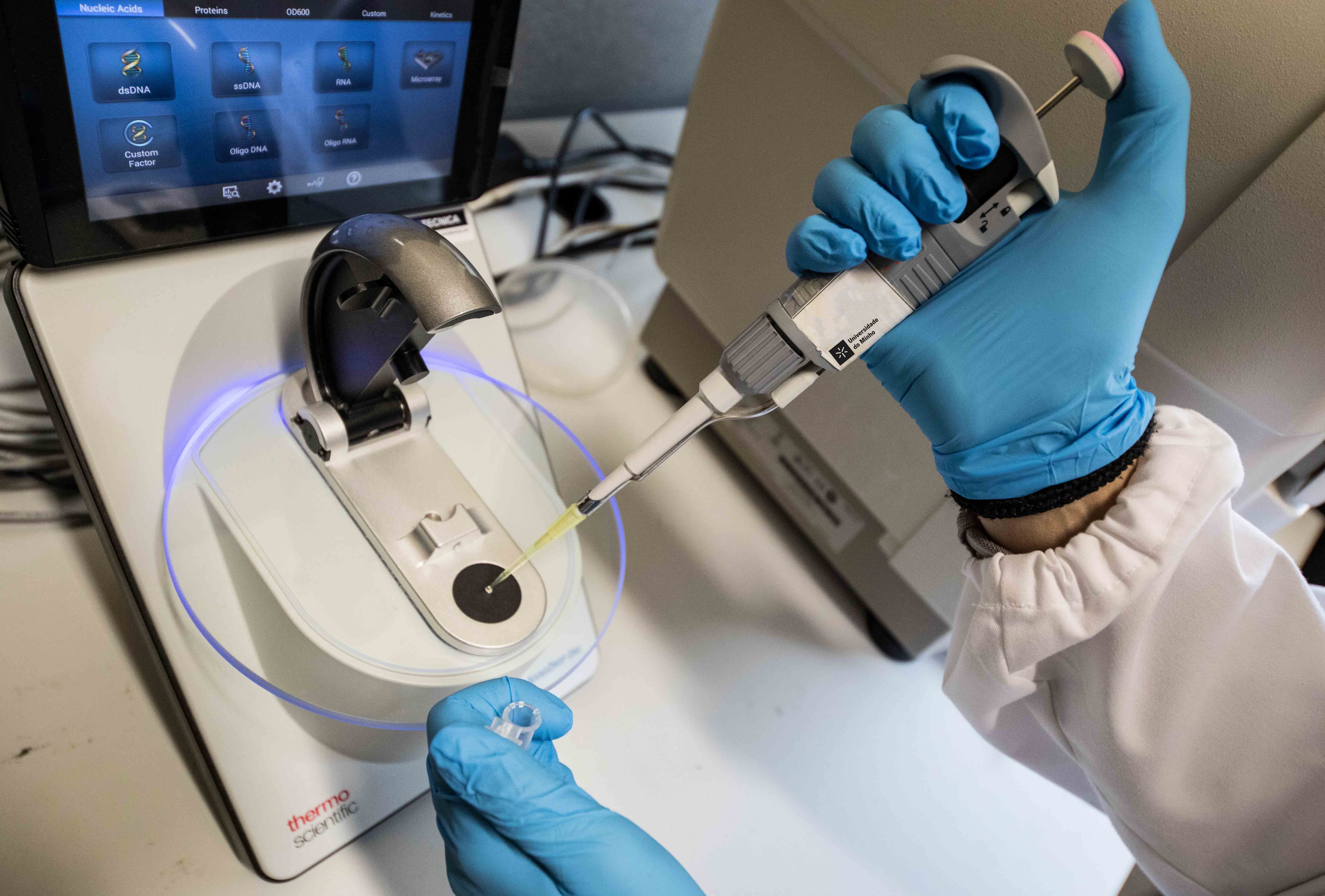 A imagem pode conter: mundo, UMinho tem 72 cientistas entre os mais influentes