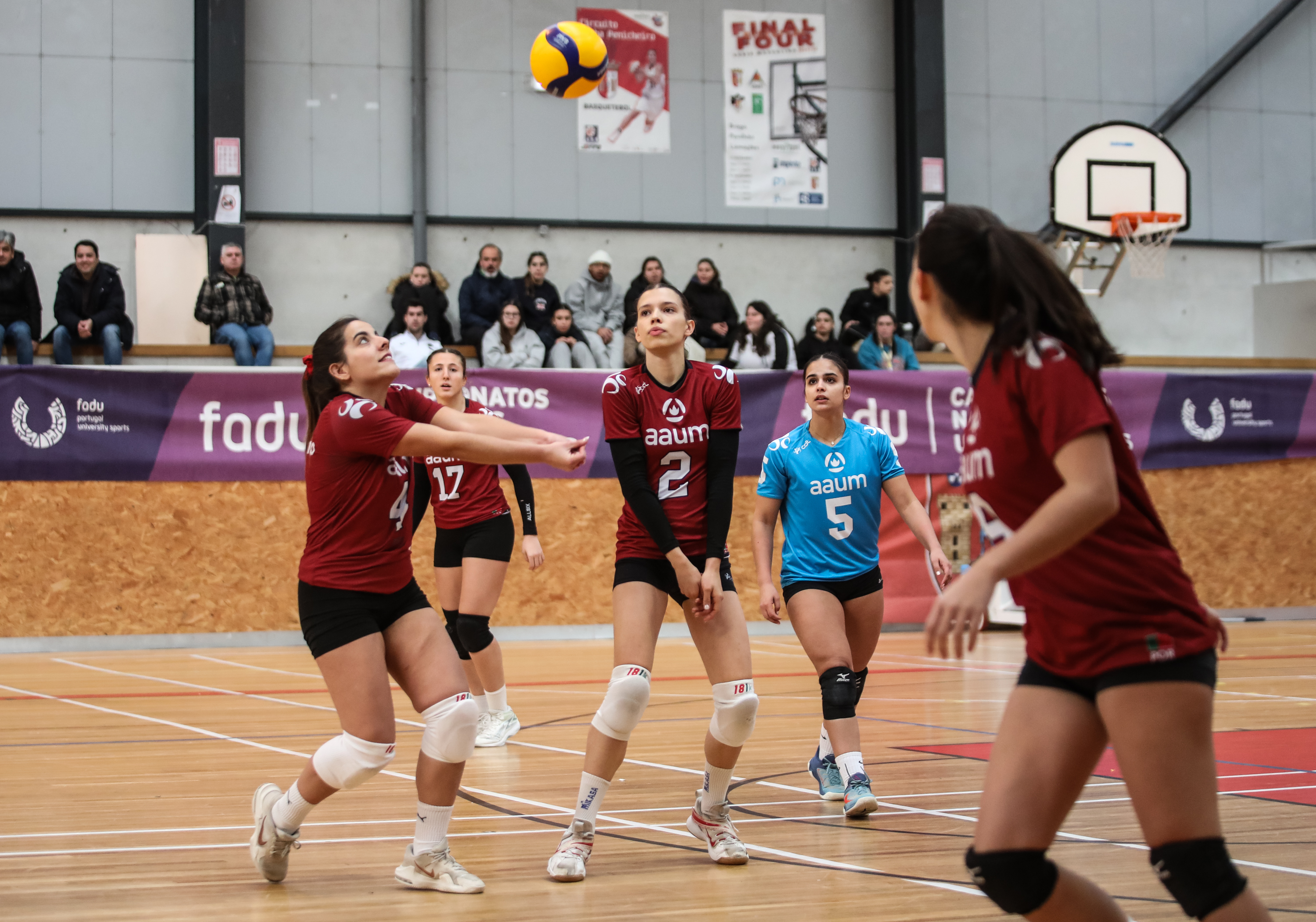 Imagem número 2 da galeria Jornada Concentrada de Apuramento Voleibol F