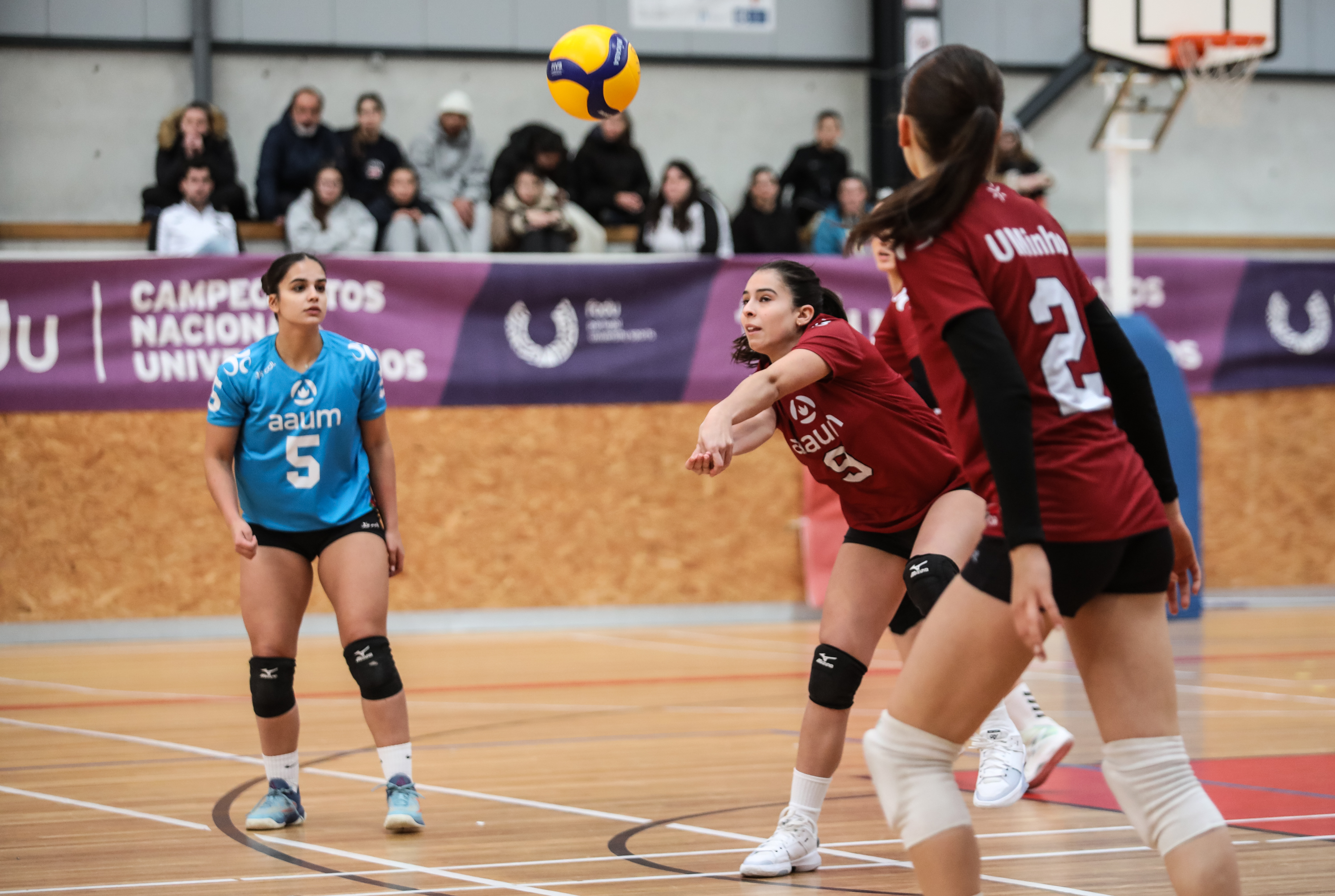 Imagem número 5 da galeria Jornada Concentrada de Apuramento Voleibol F