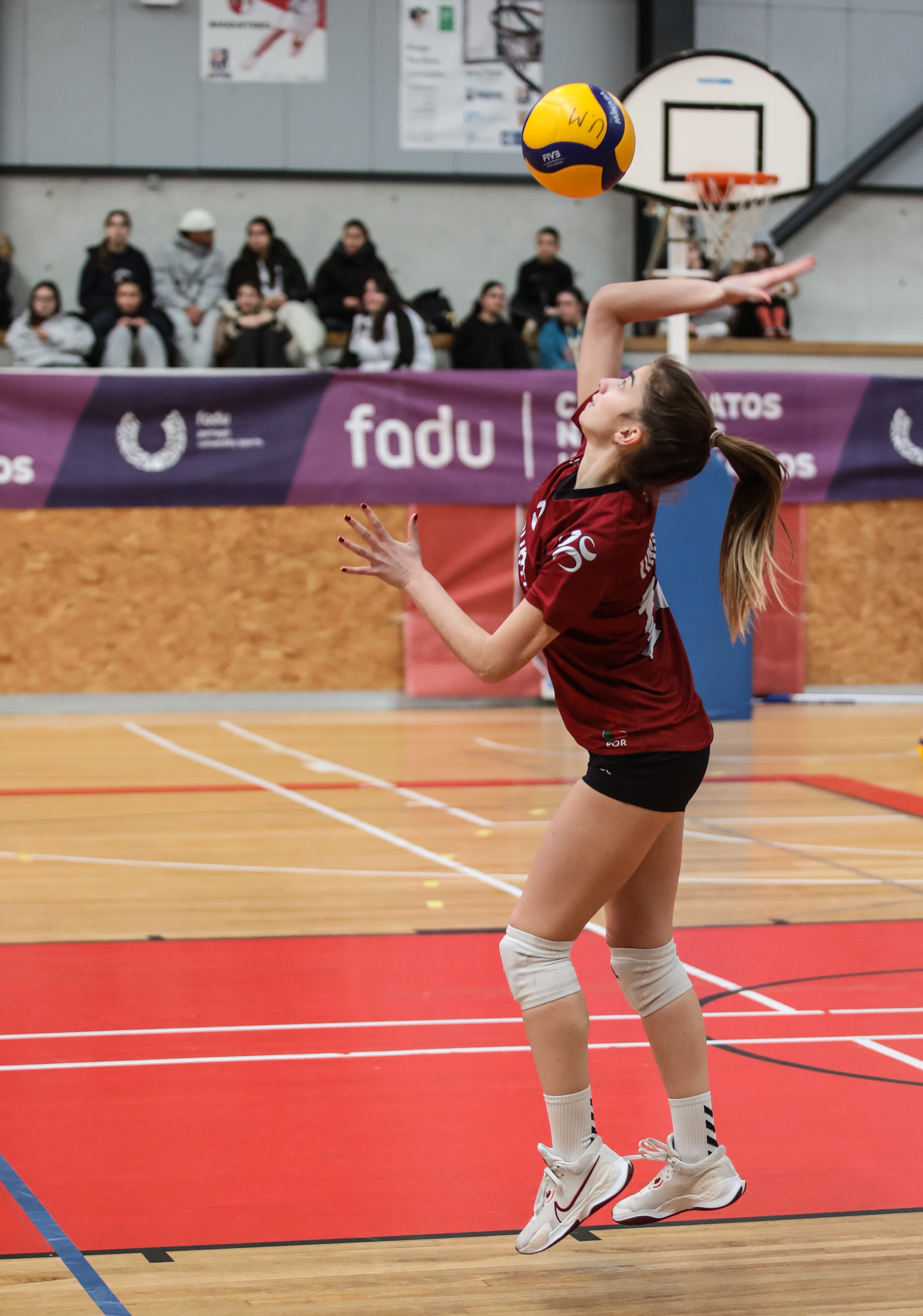 Imagem número 5 da galeria Jornada Concentrada de Apuramento Voleibol F