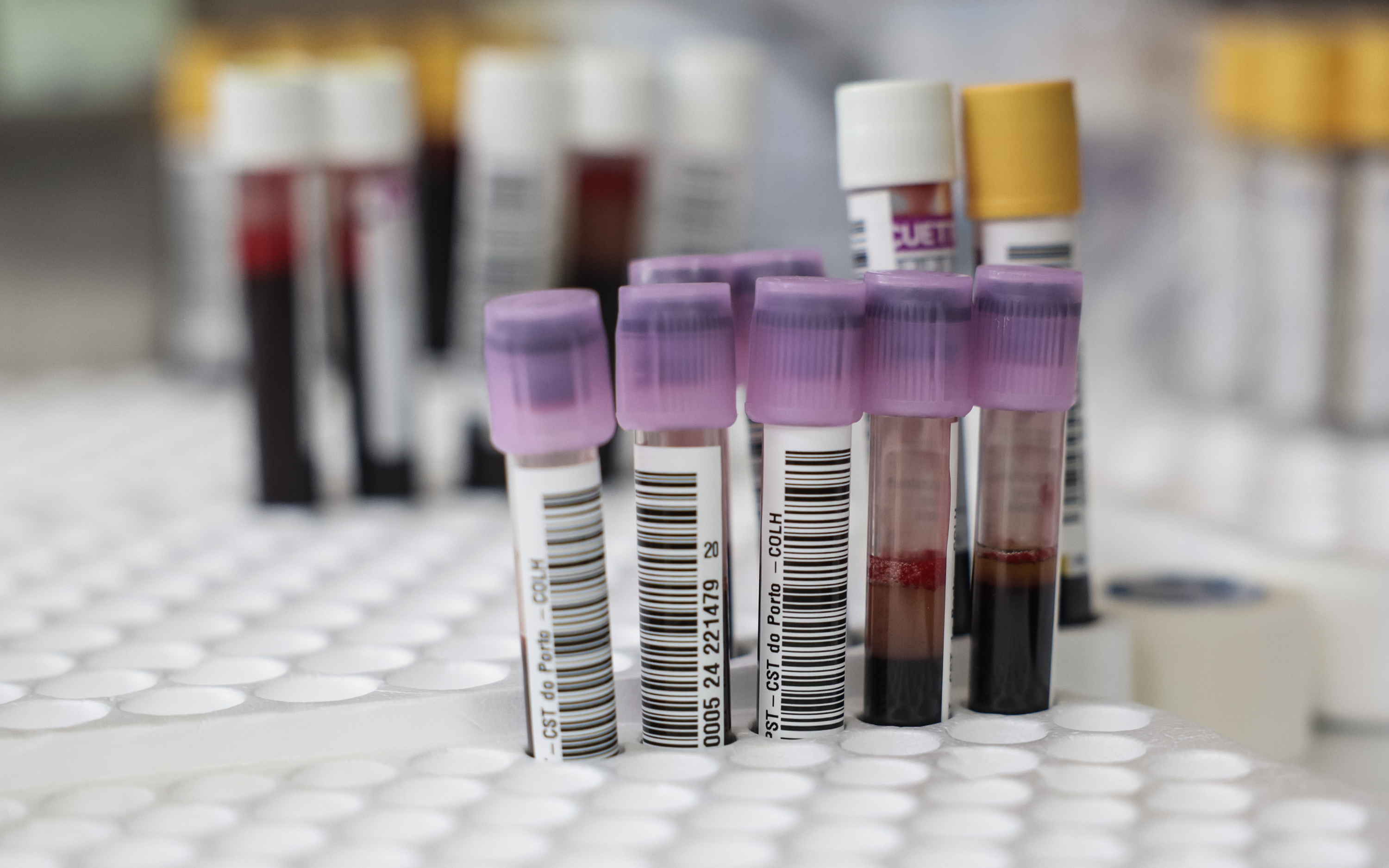 Imagem número 4 da galeria Dádiva de Sangue