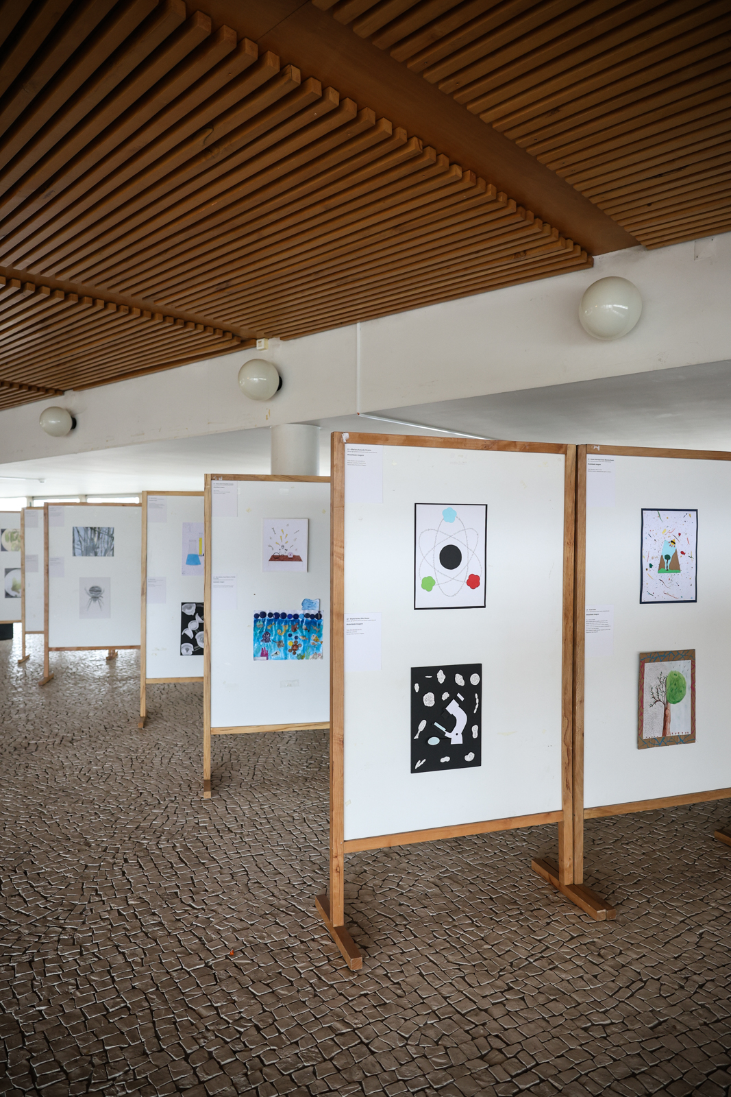 Imagem número 3 da galeria Aniversário Escola de Ciências
