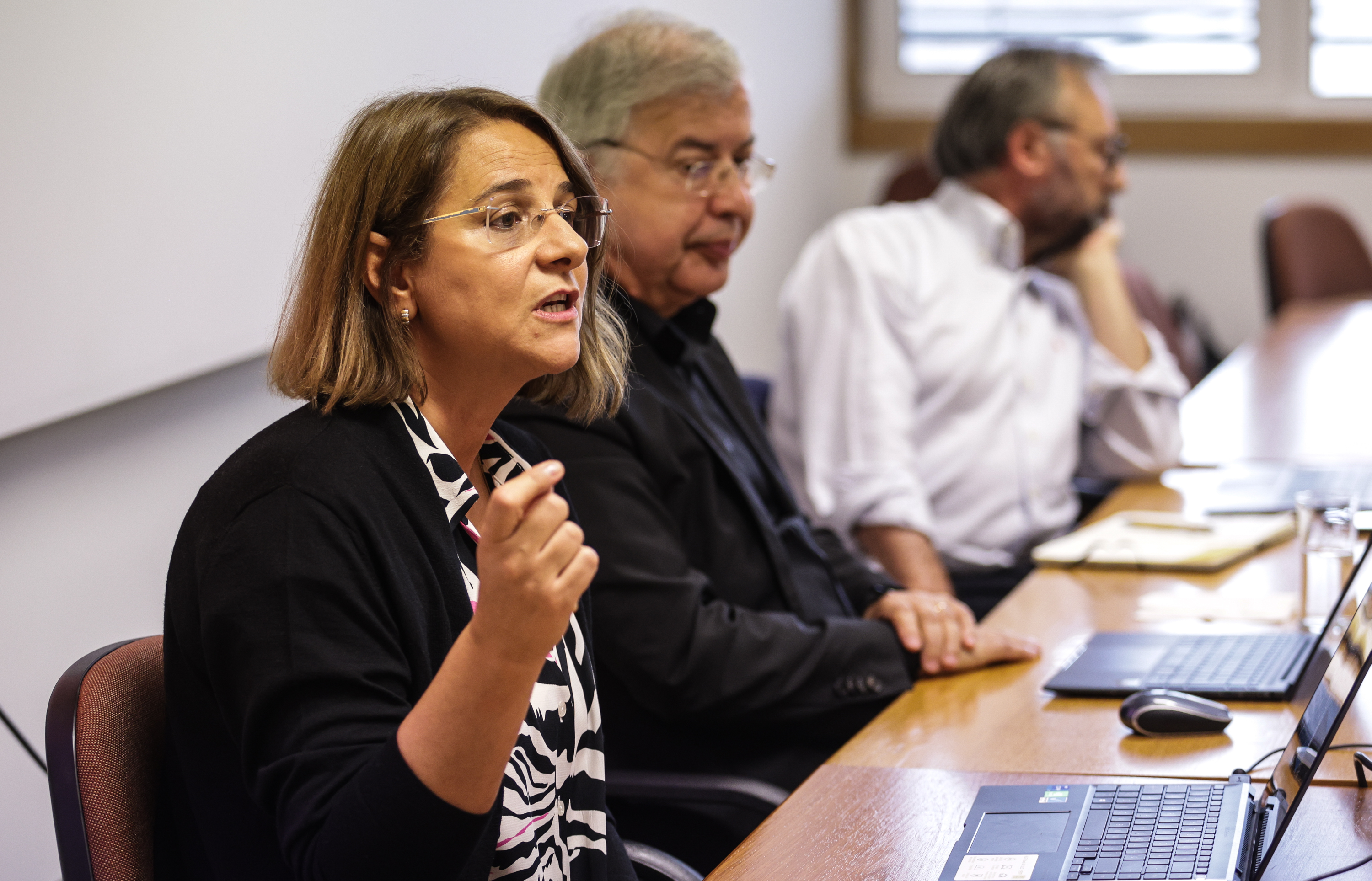 Imagem número 9 da galeria Reunião Igualdade Género