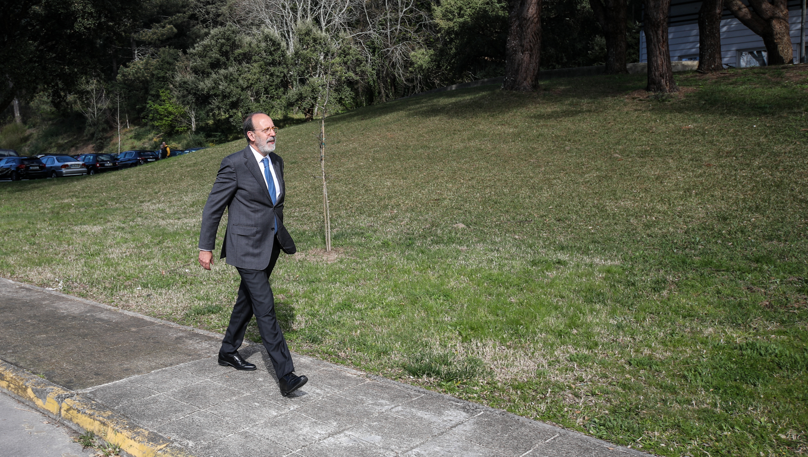 Imagem número 1 da galeria Inauguração Bosques