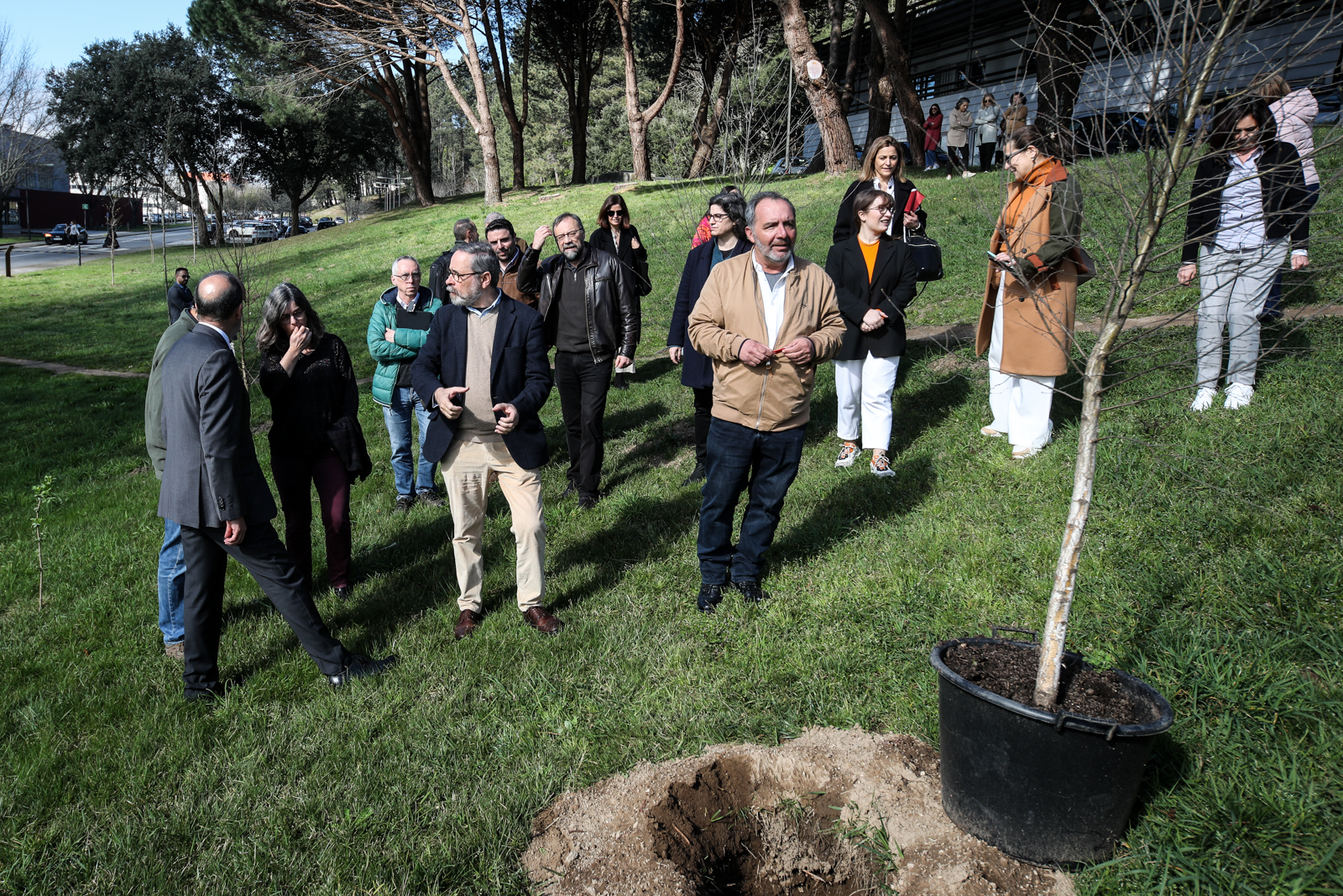 Imagem número 8 da galeria Inauguração Bosques