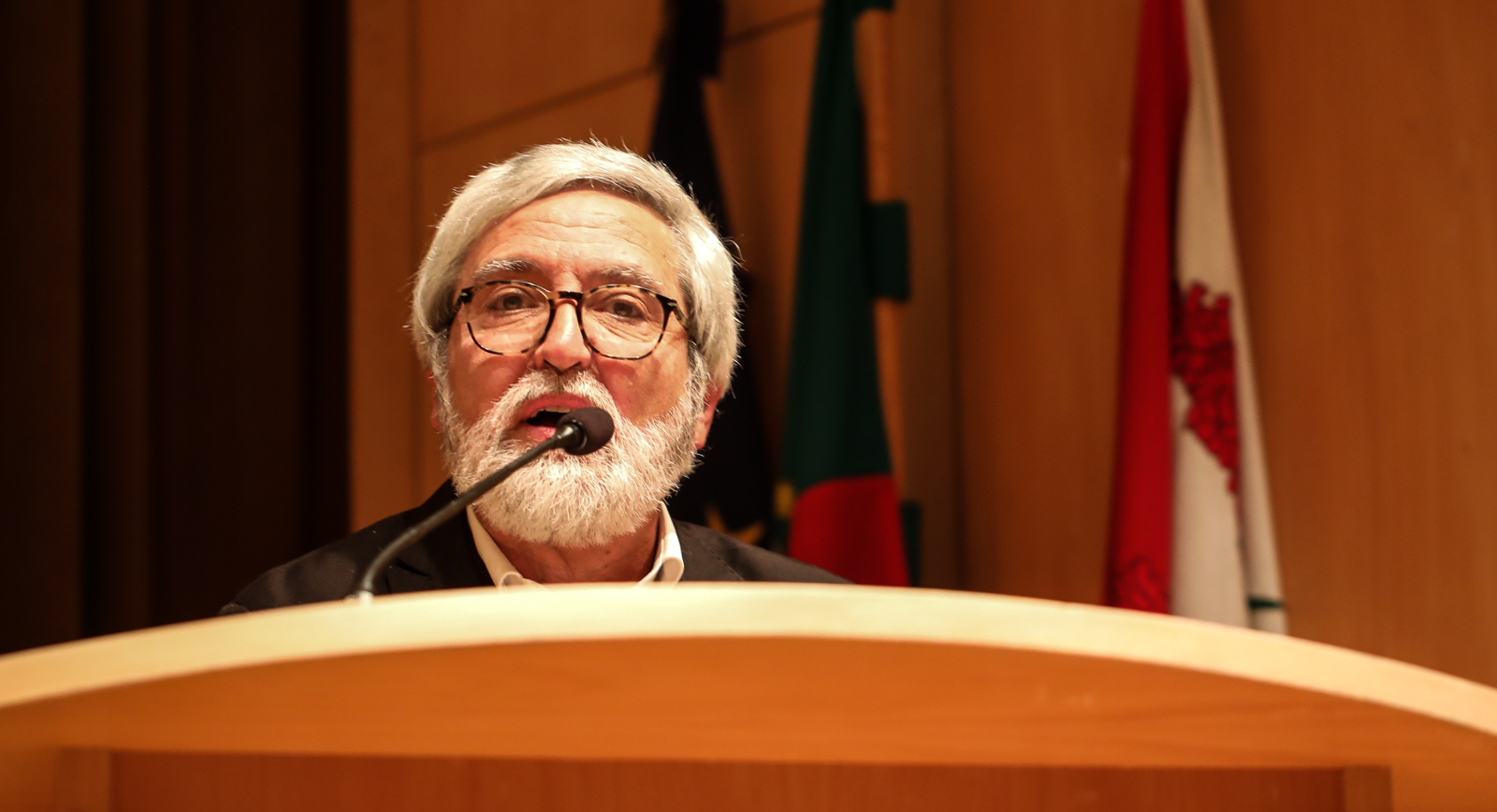 Imagem número 2 da galeria Lição de Jubilação de Moisés Martins