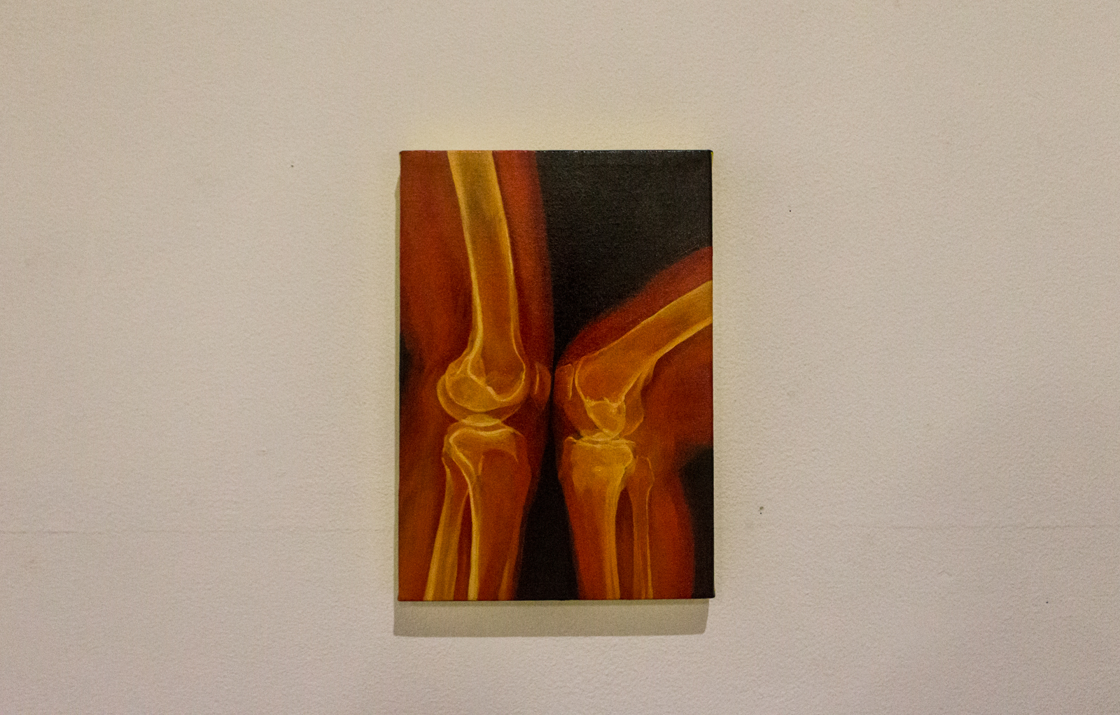 Imagem número 4 da galeria  Exposição Luz de Setembro