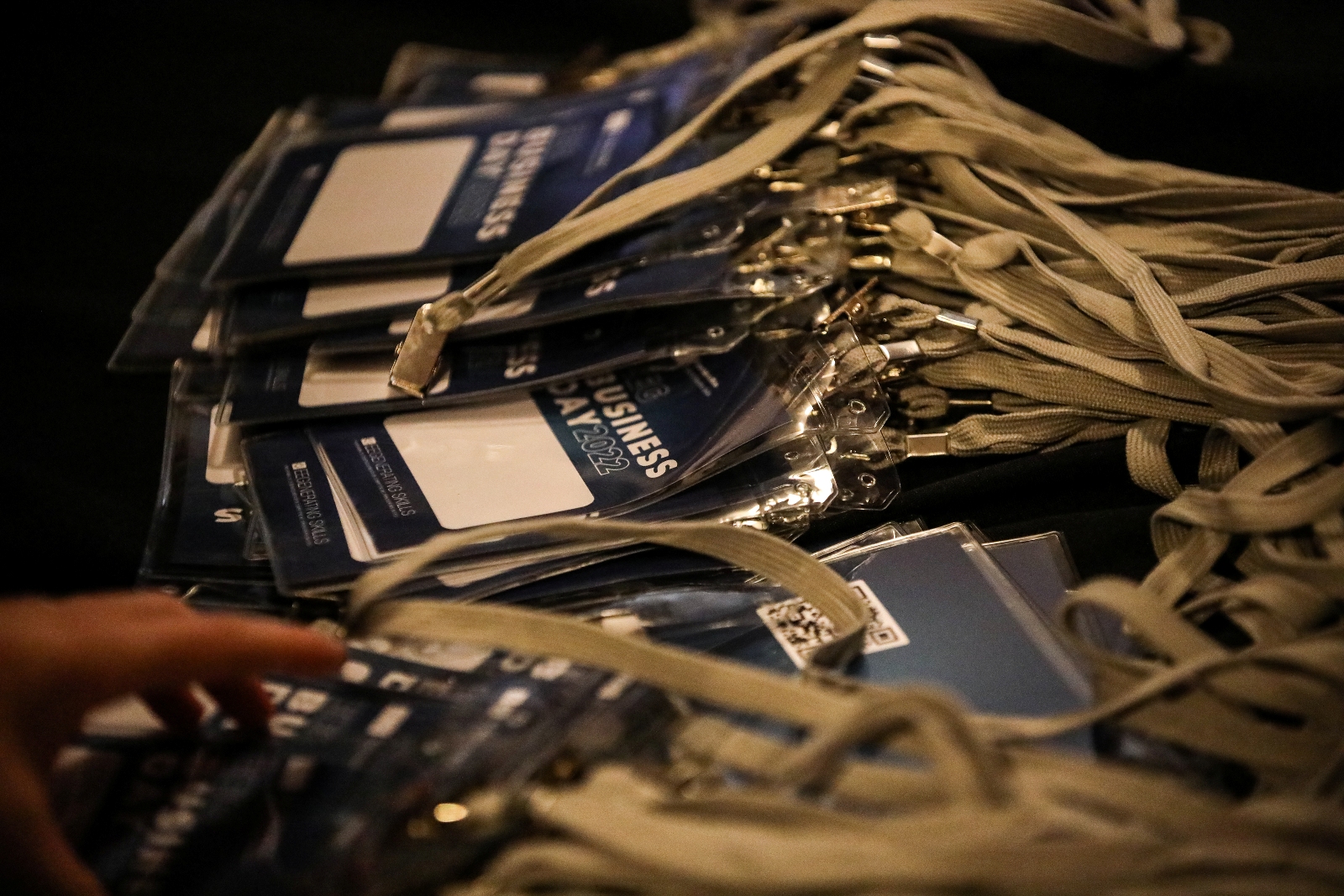 Imagem número 9 da galeria EEG Business Day