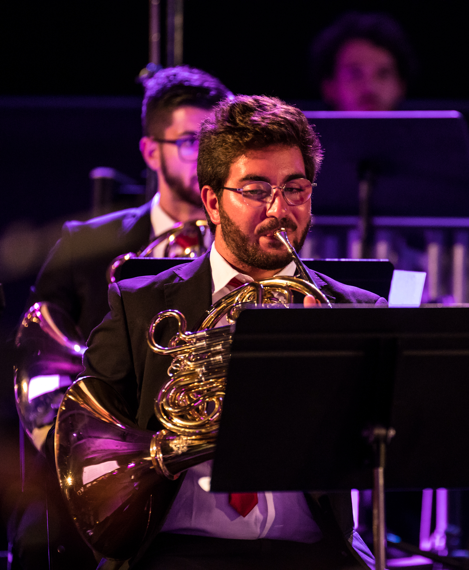 Imagem número 8 da galeria Concertos Enterro da Gata