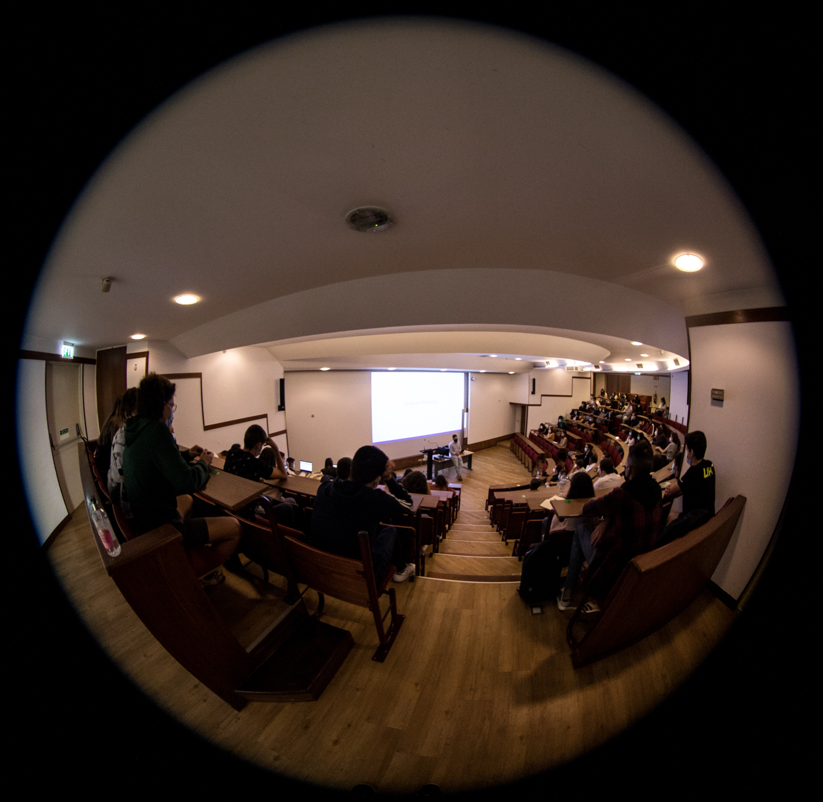 Imagem número 2 da galeria Embaixadores AAUM