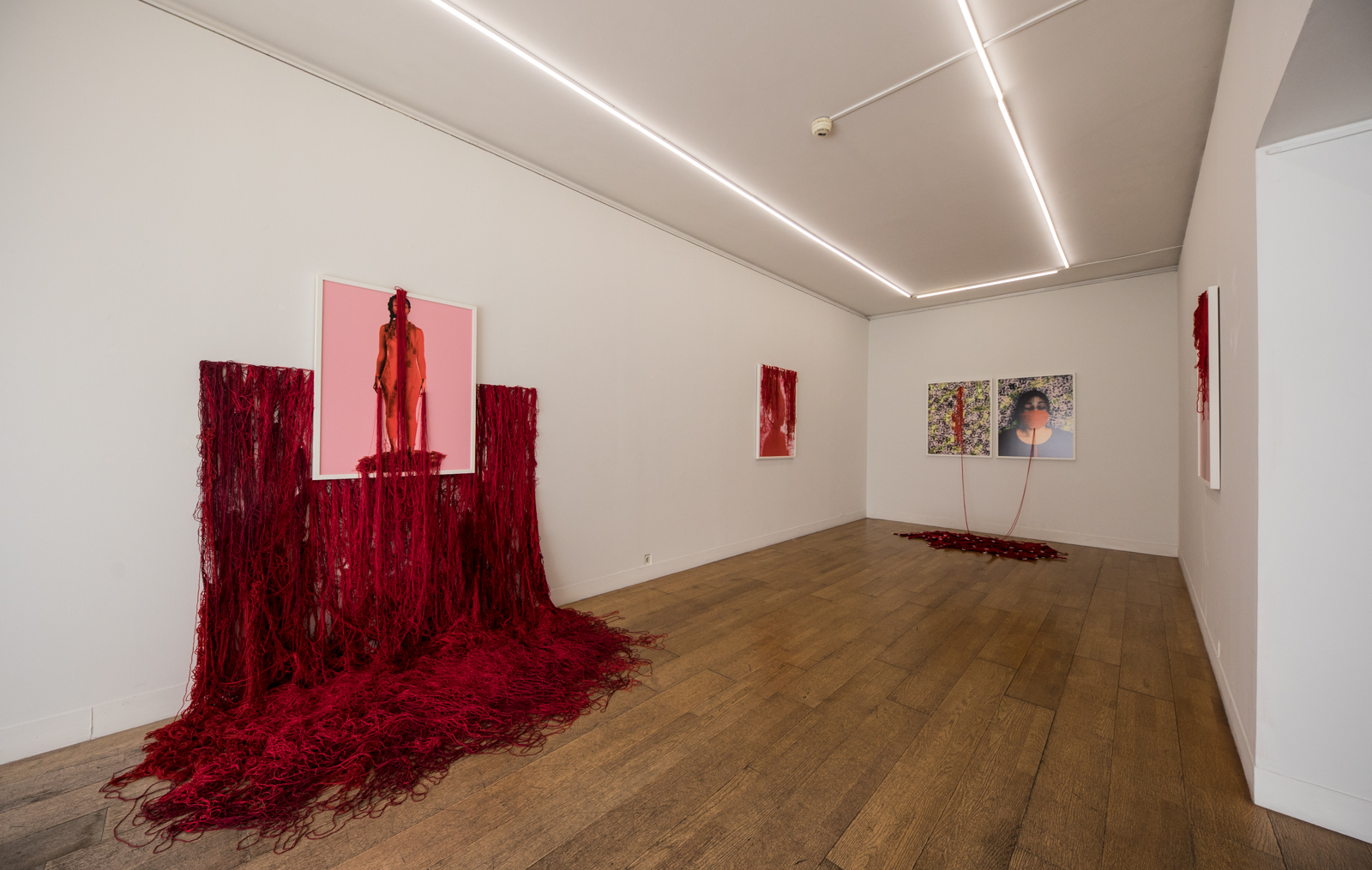 Imagem número 9 da galeria Apresentação Encontros da Imagem