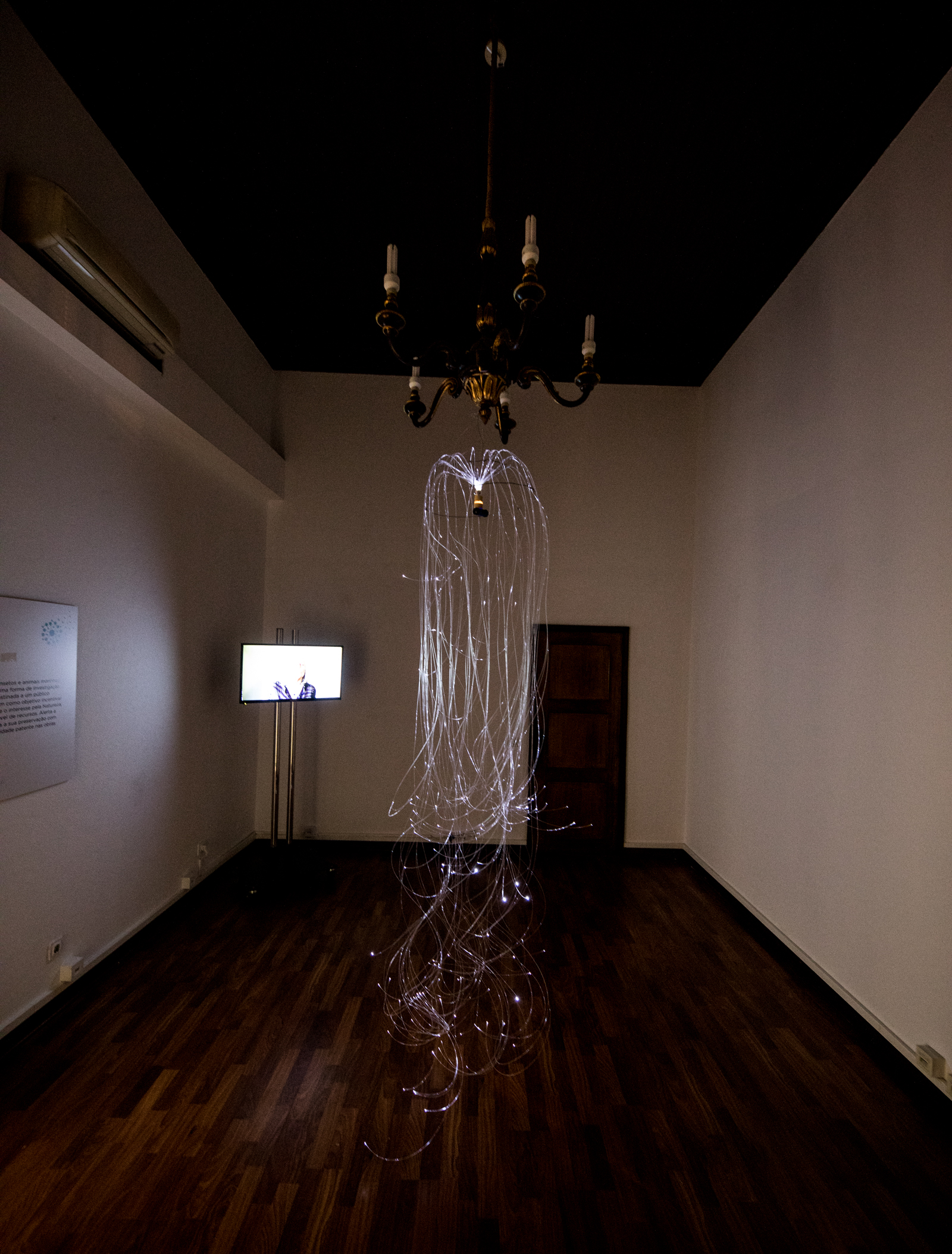 Imagem número 5 da galeria Noite dos Investigadores