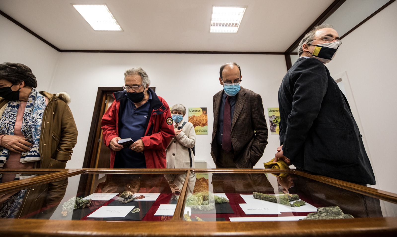 Imagem número 3 da galeria Noite dos Investigadores