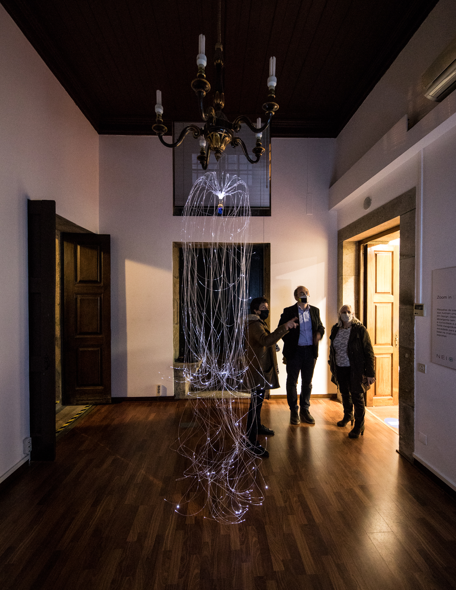 Imagem número 9 da galeria Noite dos Investigadores