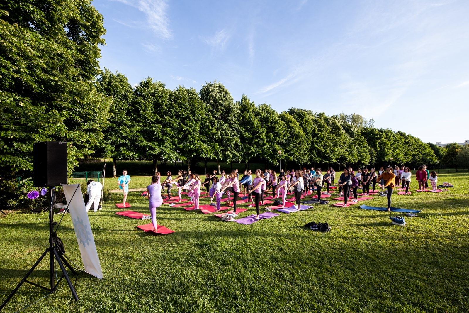 Imagem número 7 da galeria Yoga Guimarães