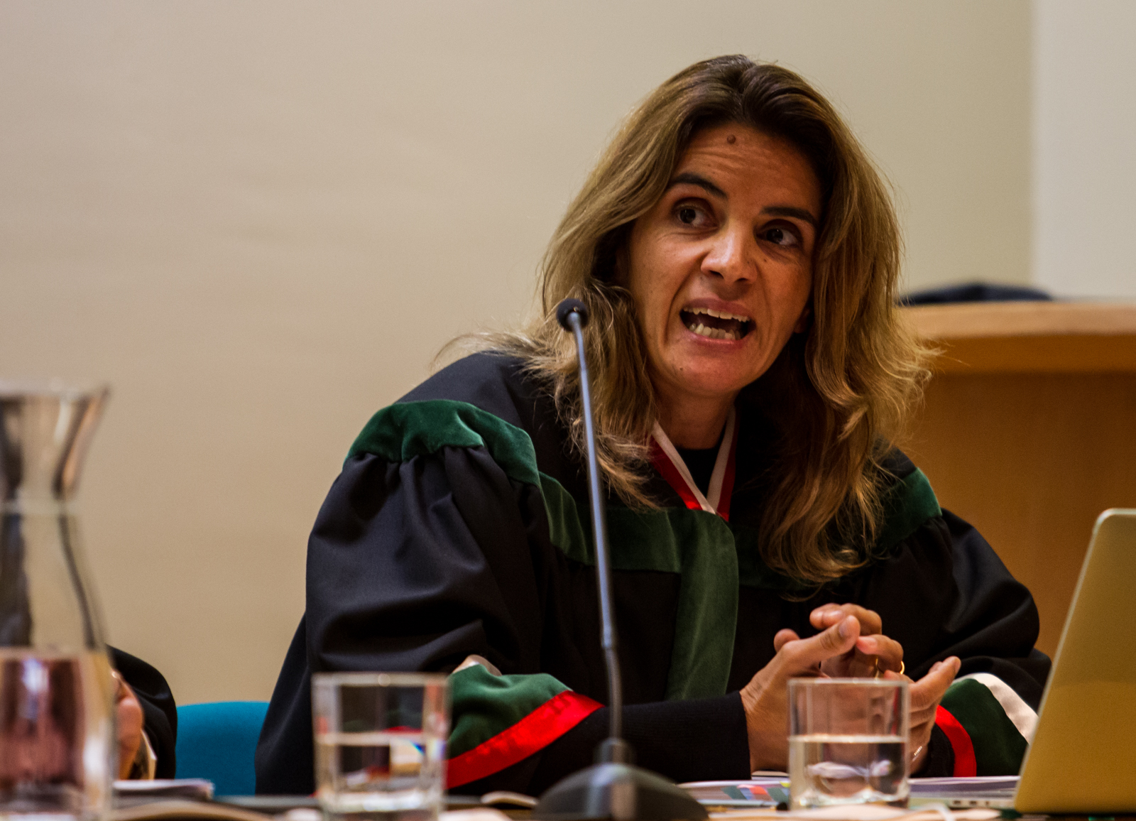 Imagem número 4 da galeria Doutoramento Bosch