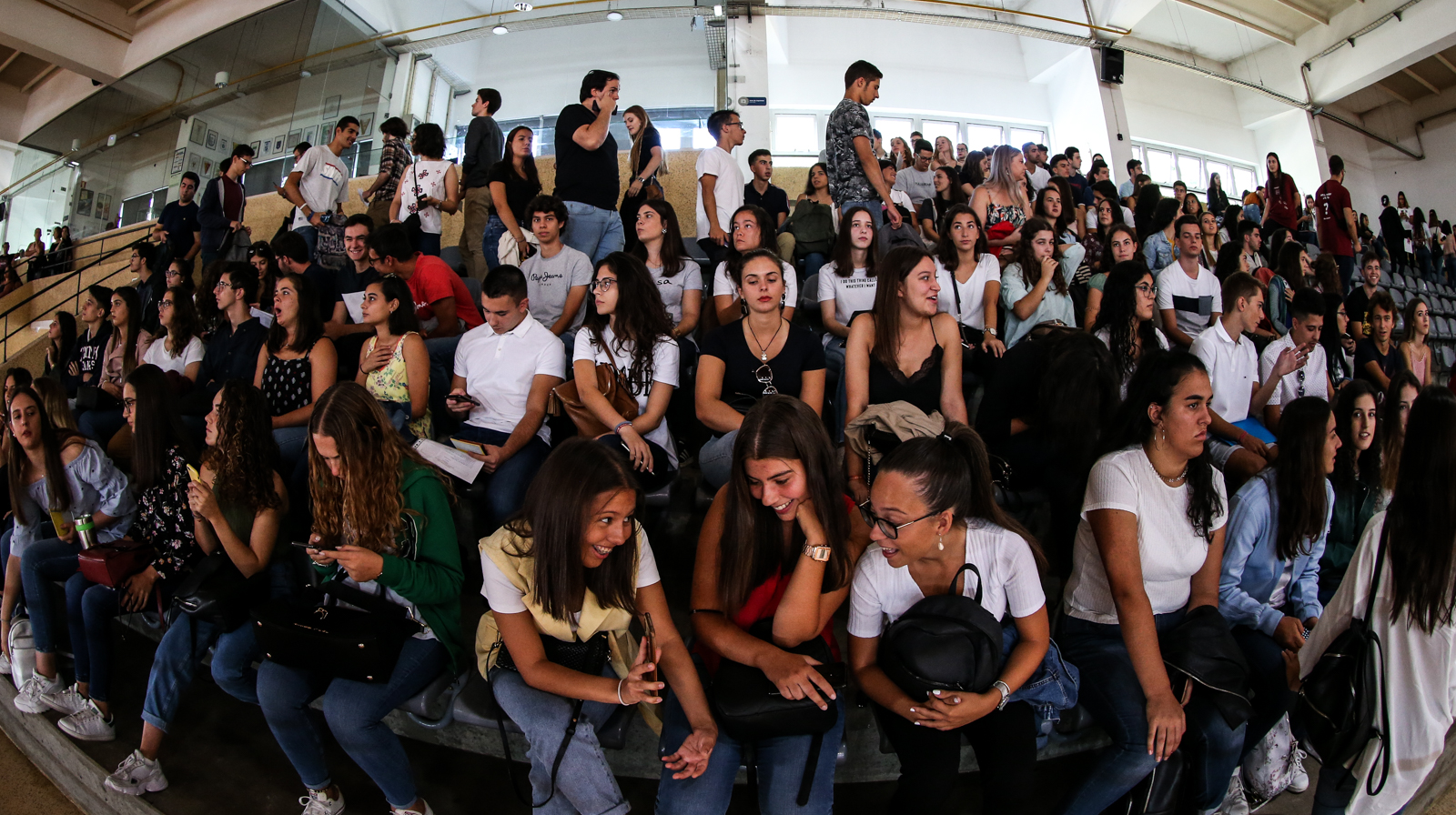 Imagem número 5 da galeria Matriculas