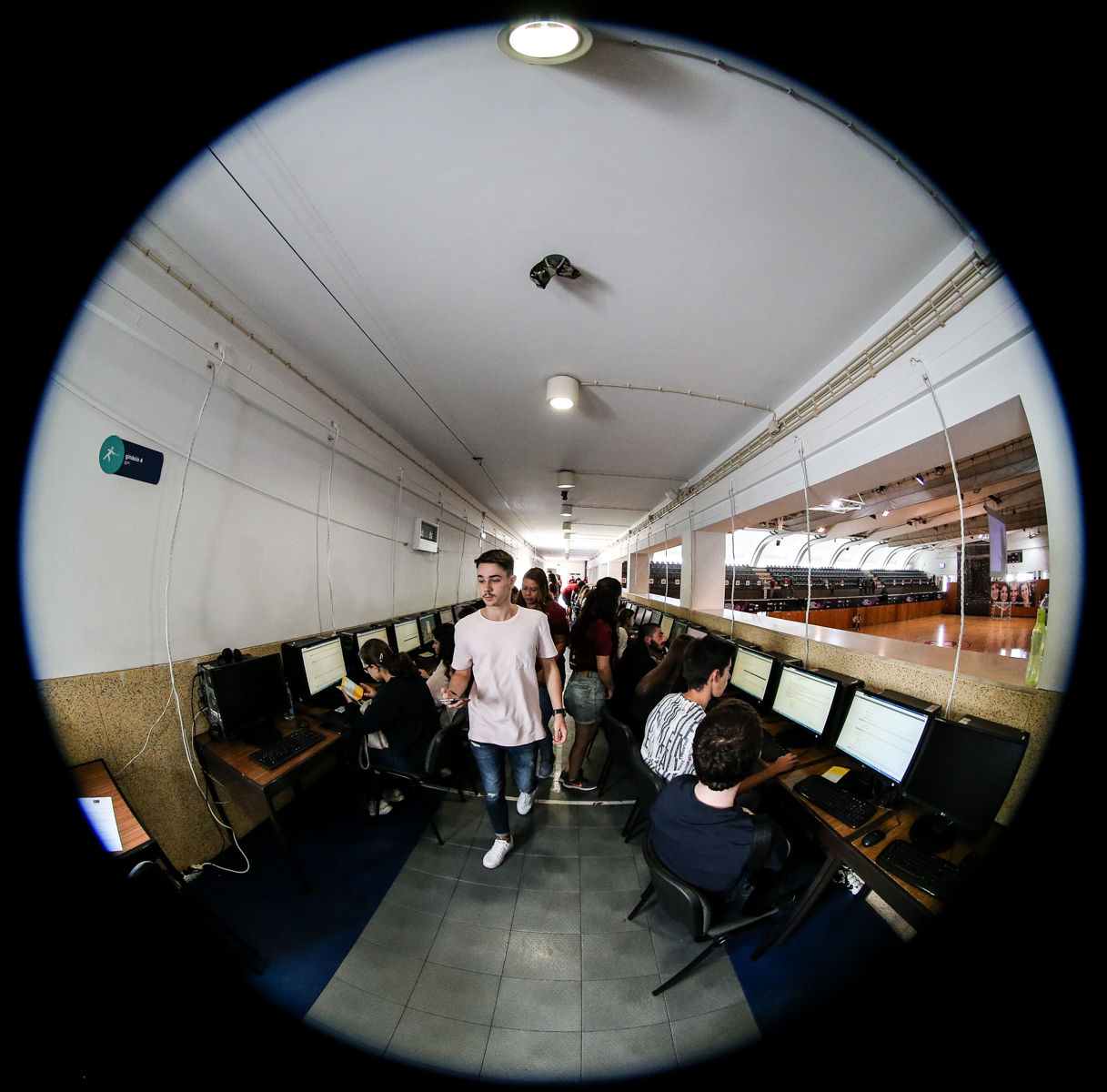 Imagem número 2 da galeria Matriculas