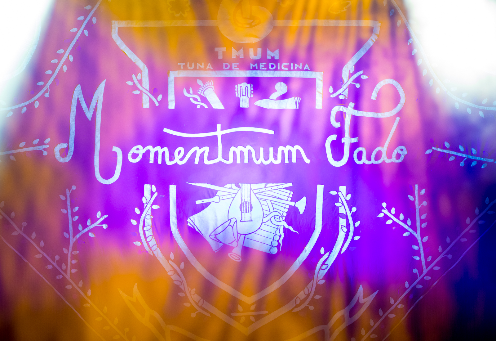 Imagem número 7 da galeria Momentmum