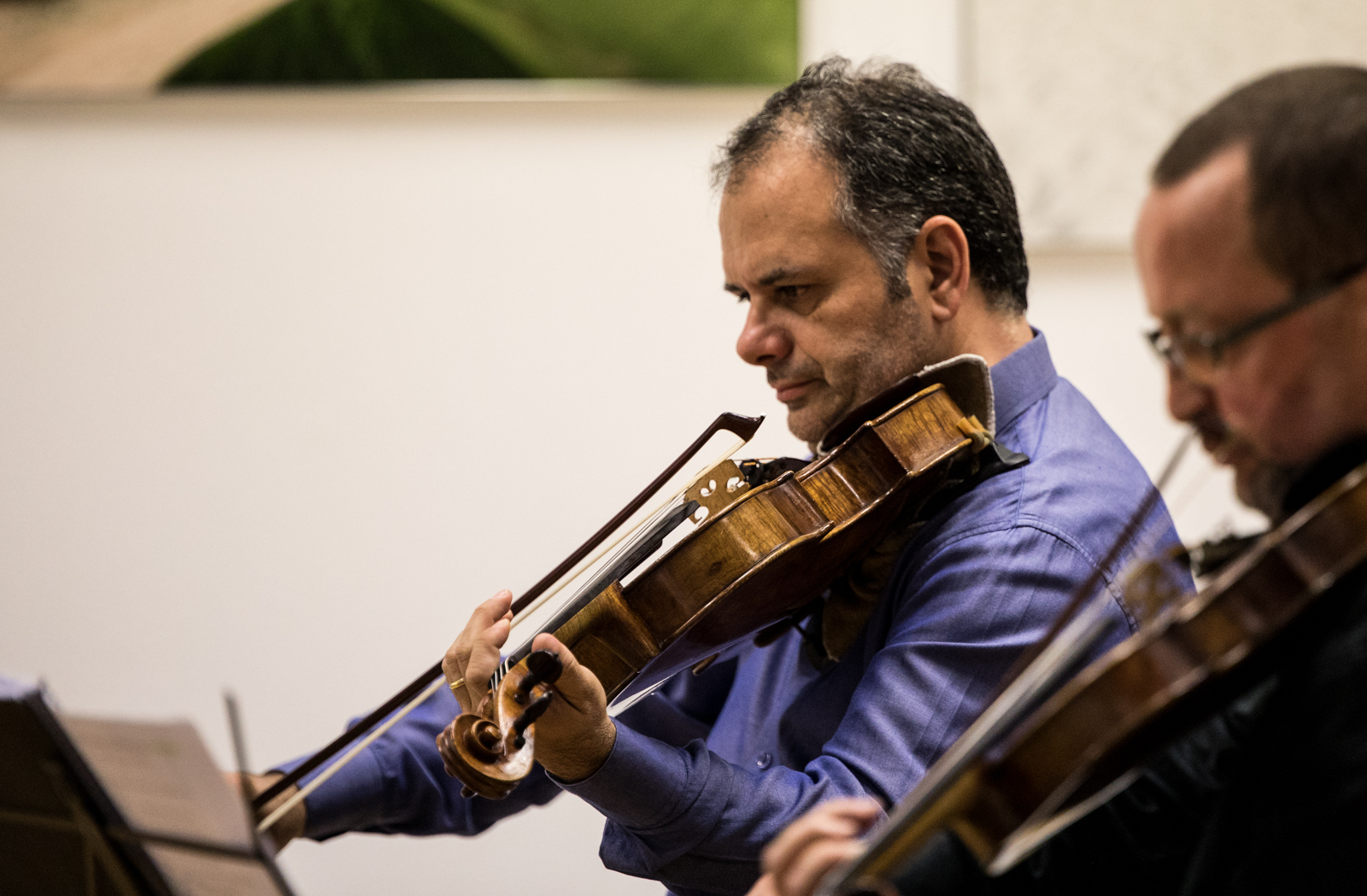 Imagem número 10 da galeria Quartetos de Corda