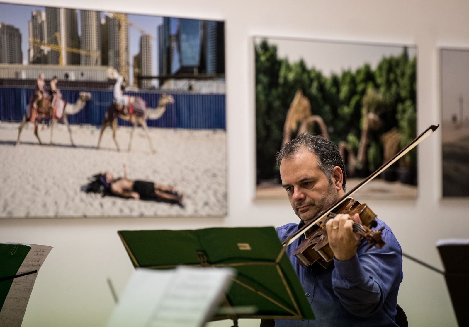 Imagem número 9 da galeria Quartetos de Corda
