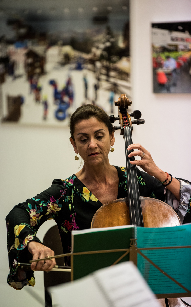Imagem número 7 da galeria Quartetos de Corda