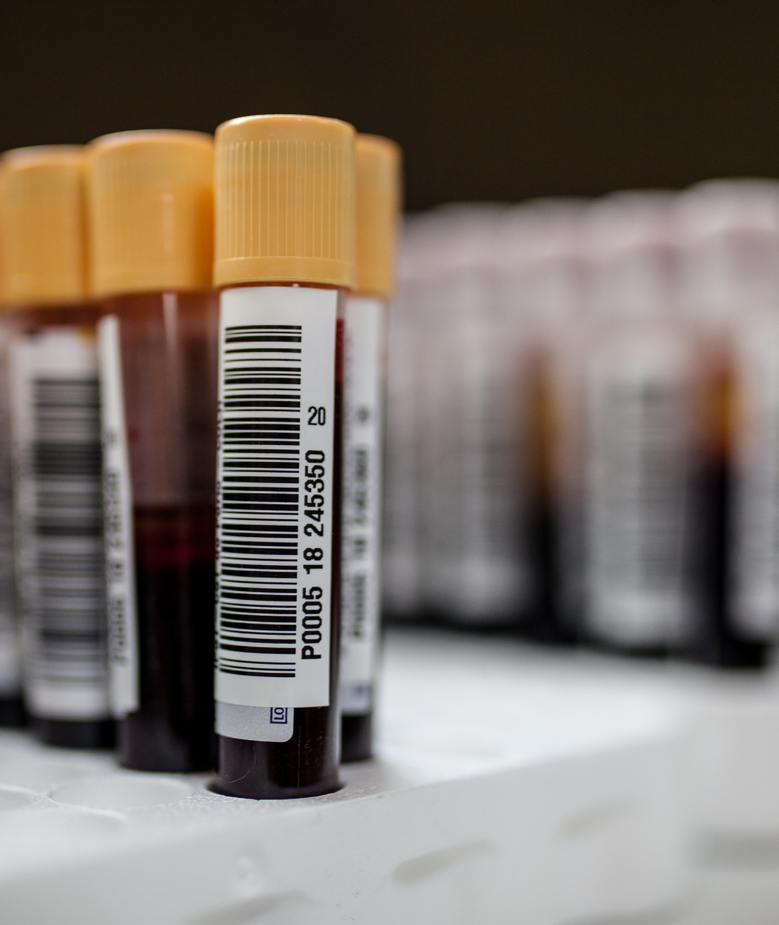 Imagem número 4 da galeria Dádiva de Sangue Novembro