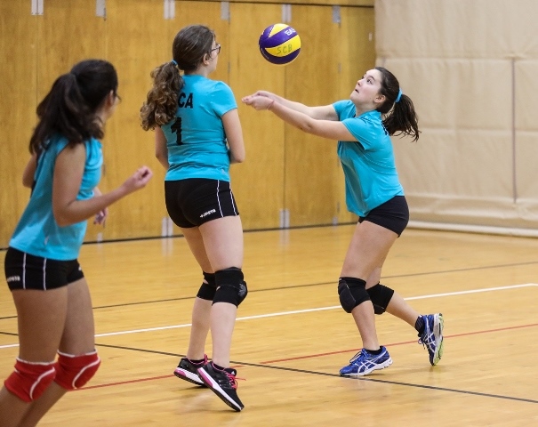 Imagem número 1 da galeria Torneio Escolas Secundárias