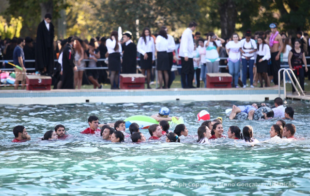 Imagem número 7 da galeria Caloiro de Molho