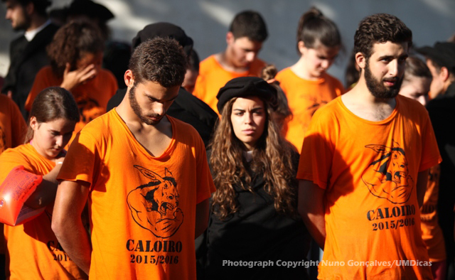 Imagem número 5 da galeria Caloiro de Molho