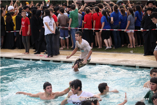 Imagem número 10 da galeria Caloiro de Molho