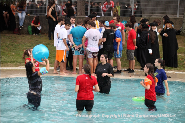 Imagem número 5 da galeria Caloiro de Molho