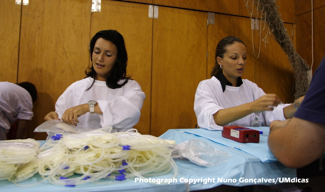 Imagem número 10 da galeria Dádiva de Sangue