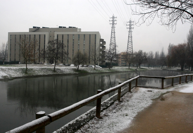 Imagem número 6 da galeria Neve no Campus