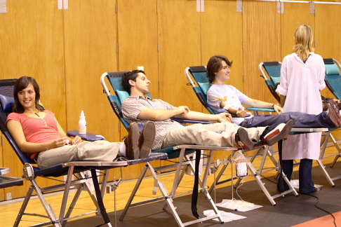 Imagem número 6 da galeria Dádiva de Sangue - Gualtar