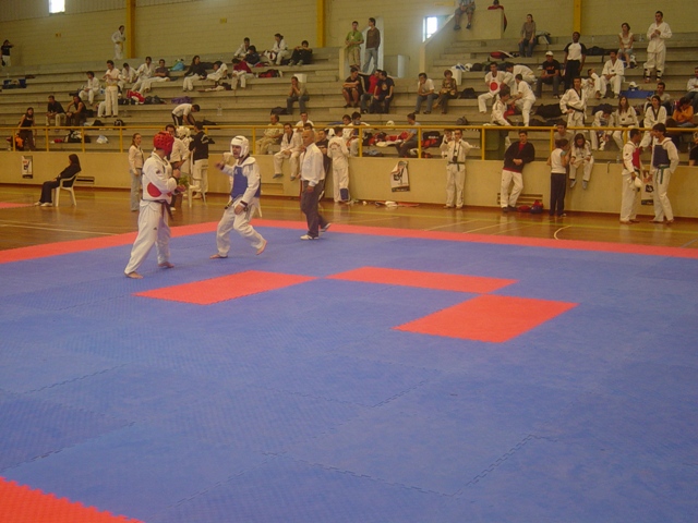 Imagem número 2 da galeria CNU Taekwondo