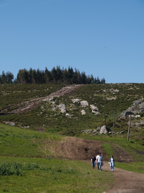 Imagem número 7 da galeria Desporto Escolar 