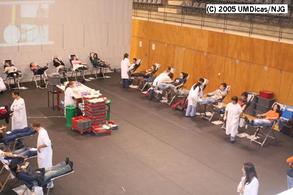 Imagem número 4 da galeria Dádiva de Sangue