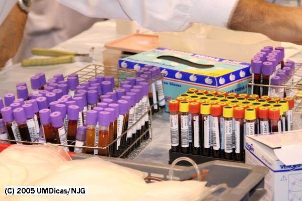 Imagem número 10 da galeria Dádiva de Sangue
