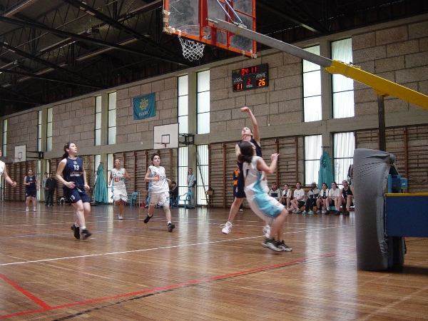 Imagem número 1 da galeria CNU Basquetebol F