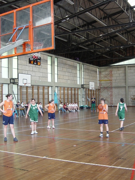 Imagem número 3 da galeria CNU Basquetebol F