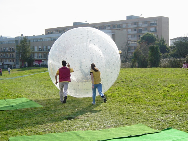 Imagem número 5 da galeria Dia UM Zorb