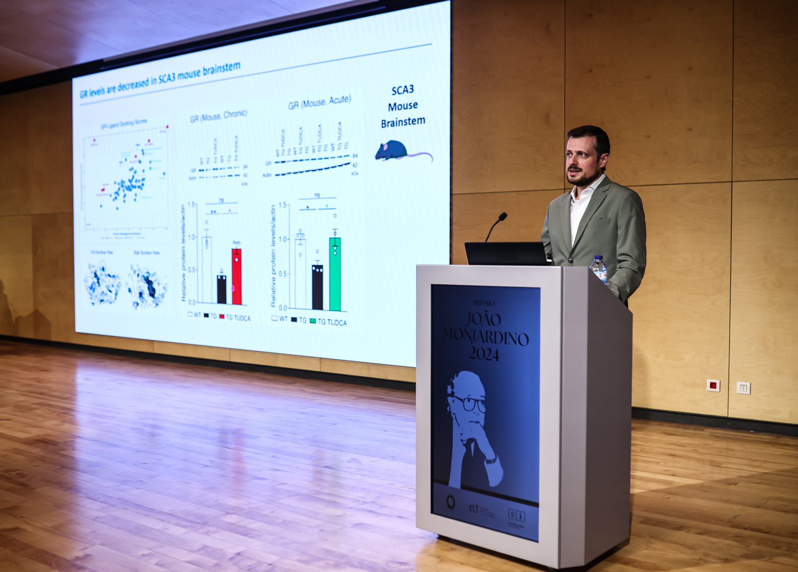 Imagem número 10 da galeria Prémio João Monjardino
