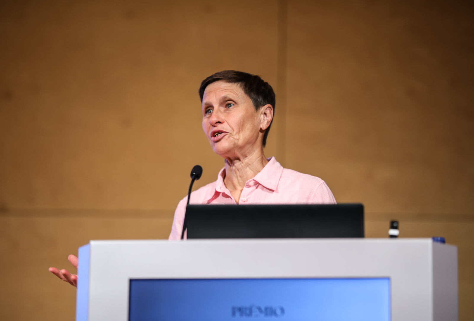 Imagem número 4 da galeria Prémio João Monjardino