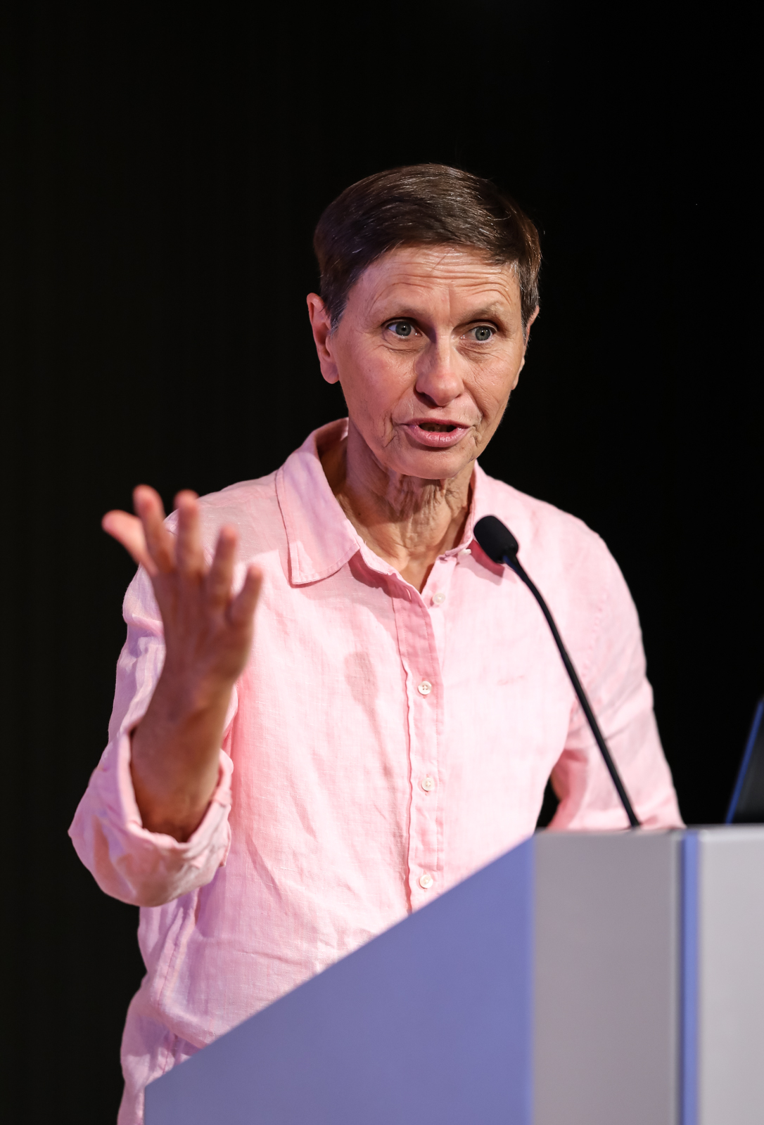 Imagem número 3 da galeria Prémio João Monjardino