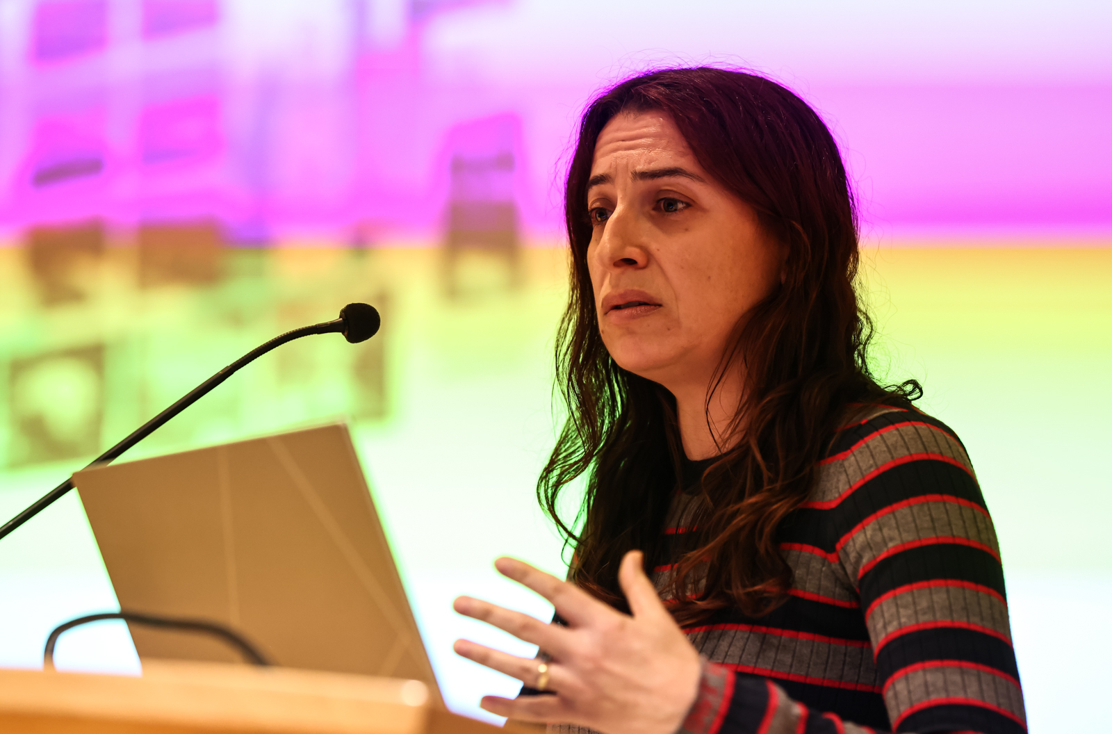 Imagem número 10 da galeria Aniversário IBs