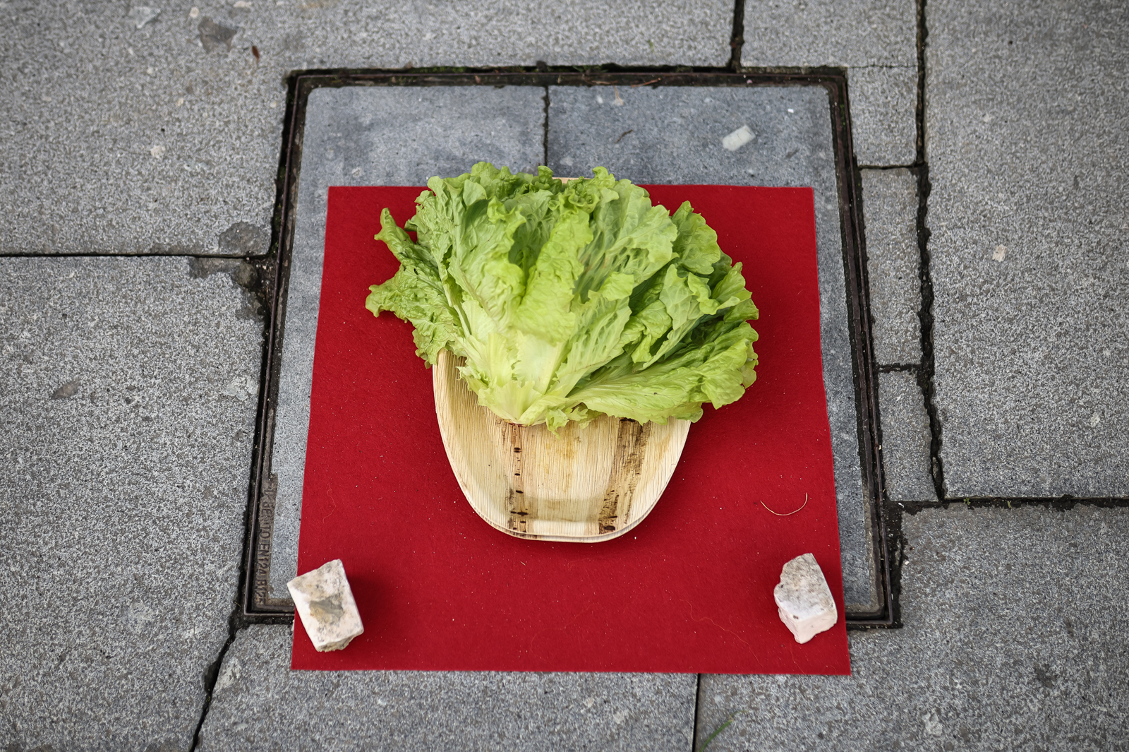 Imagem número 5 da galeria Celebração do Novo Ano Chinês