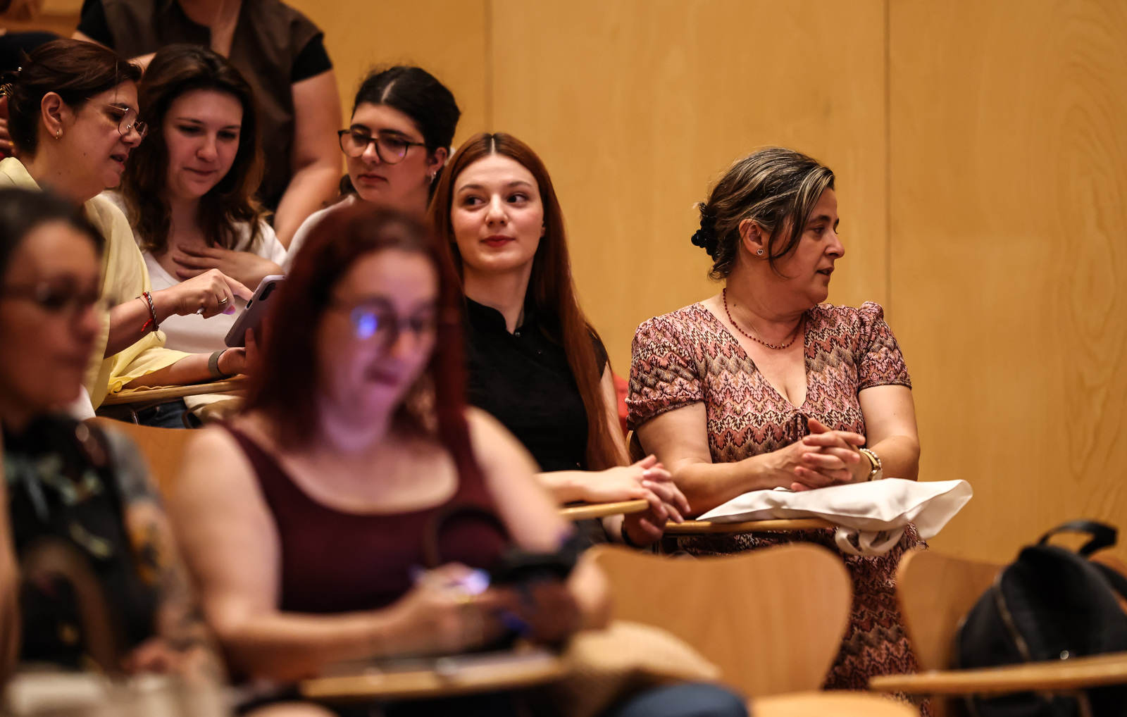 Imagem número 4 da galeria Conferência Estatuto da Carreira Docente