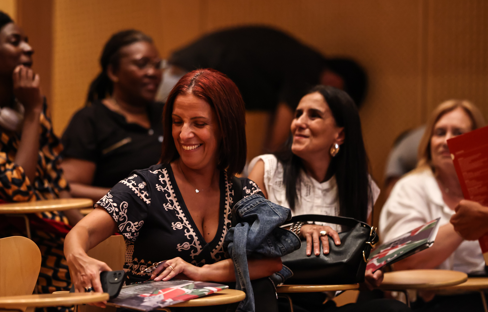 Imagem número 2 da galeria Conferência Estatuto da Carreira Docente